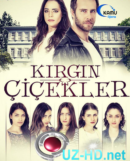 Kırgın Çiçekler 16. Bölüm